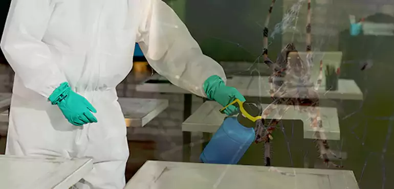 Why Buyers Still Want Homes With Pest Infestations in Baltimore, MD?
