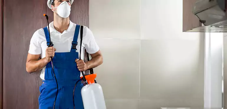 Why Baltimore Homeowners Choose Us When Pests Make Selling Difficult