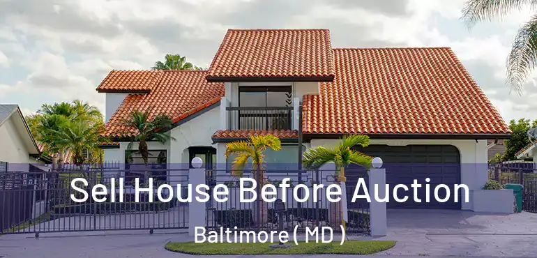  Sell House Before Auction Baltimore ( MD )