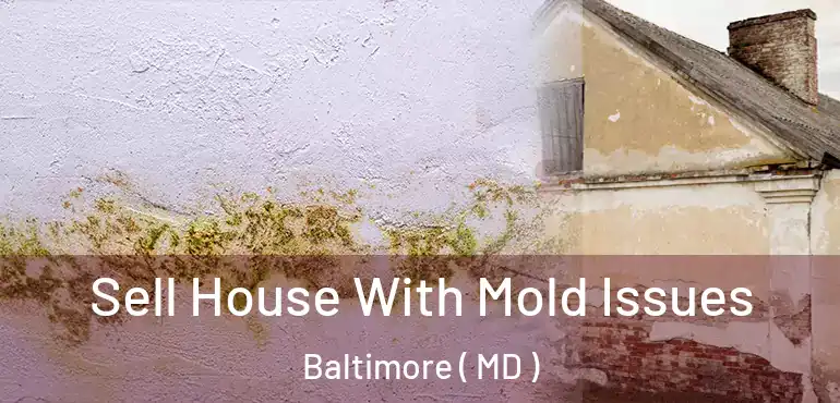  Sell House With Mold Issues Baltimore ( MD )